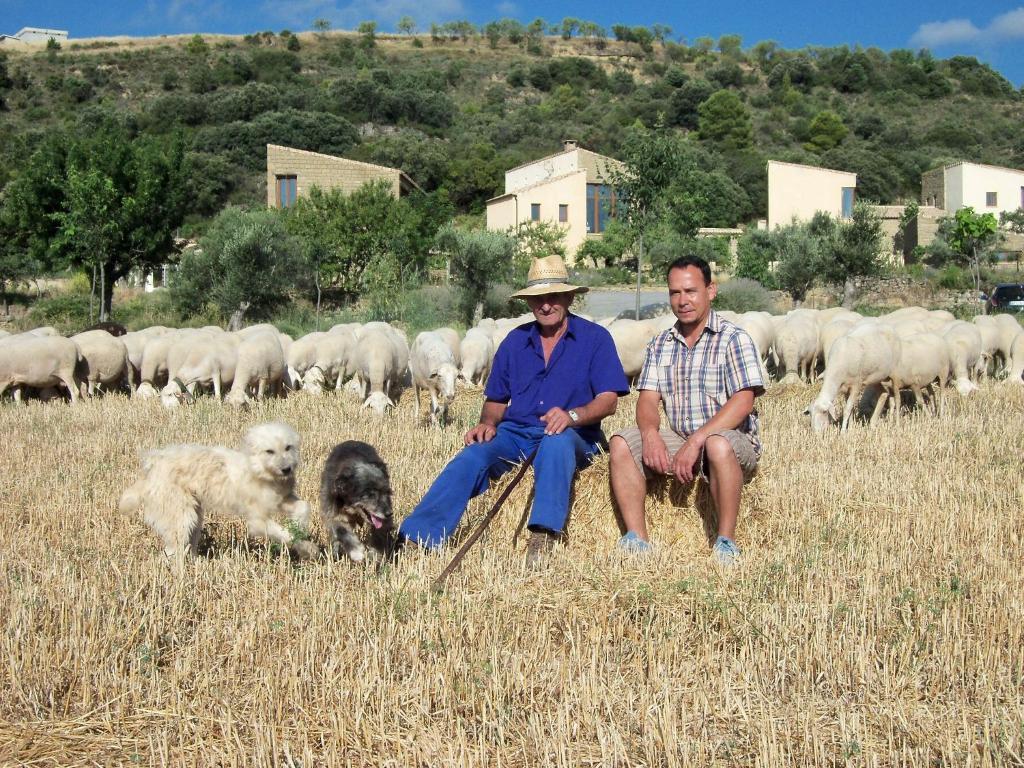 منزل الضيف Santa Eulalia de Gállego  في Alen D'Aragon المظهر الخارجي الصورة